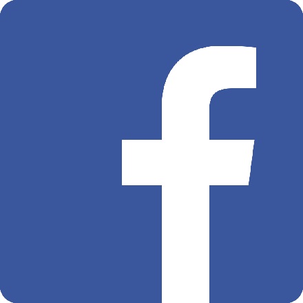 logo-facebook-gites-des-camparros-a-nailloux